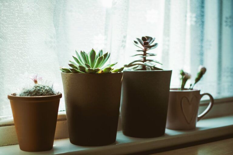 plantes artificielles 1